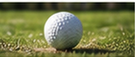 A golf ball on the green